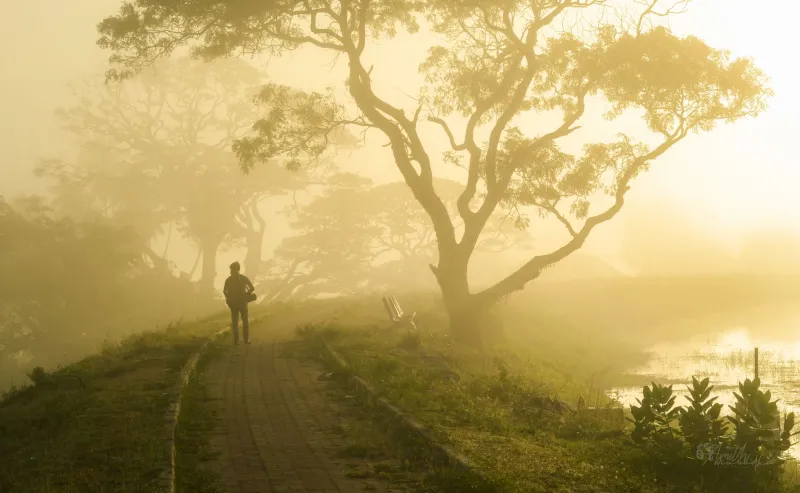 Alone in the Seeking: How the Spiritual Path Leads Us Into—and Out of—Isolation